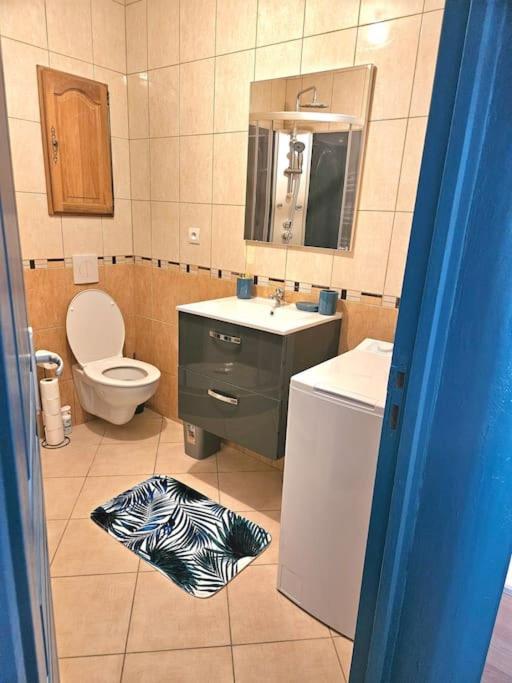 Spacieux Et Charmant Appartement De 47 M2 Charleville-Mézières Exteriör bild